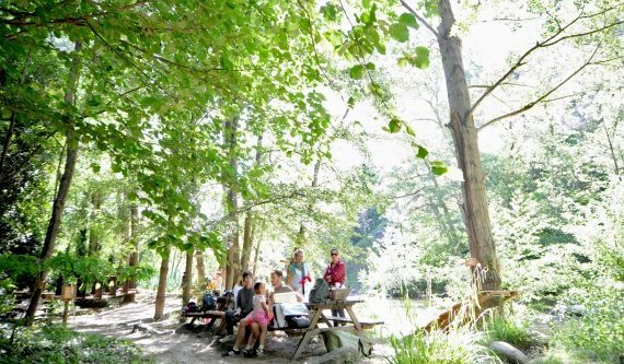 picnic-park-accrobranche-outdoor-nature