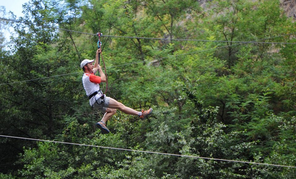 Tree climbing park Outdoor Nature