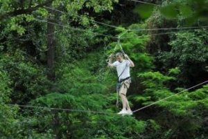 Tree climbing EVG EVJF Perpignan