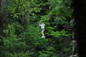 Treetop adventure park for adults Pyrénées-Orientales