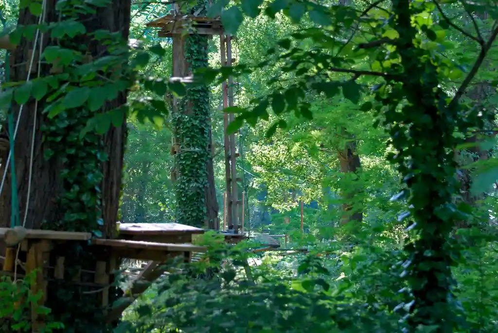 Respect des arbres du parc aventure par Extérieur Nature