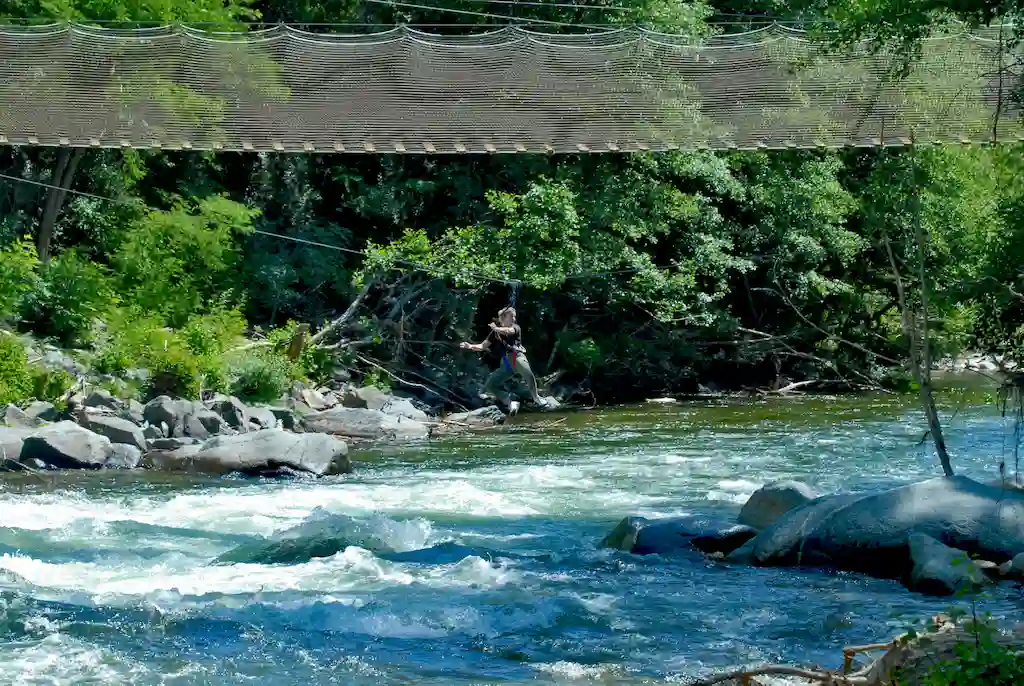 Accrobranche activité de plein air PO